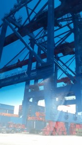 20140620_123359 (360x640)